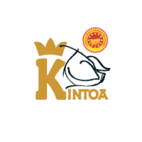 Kintoa